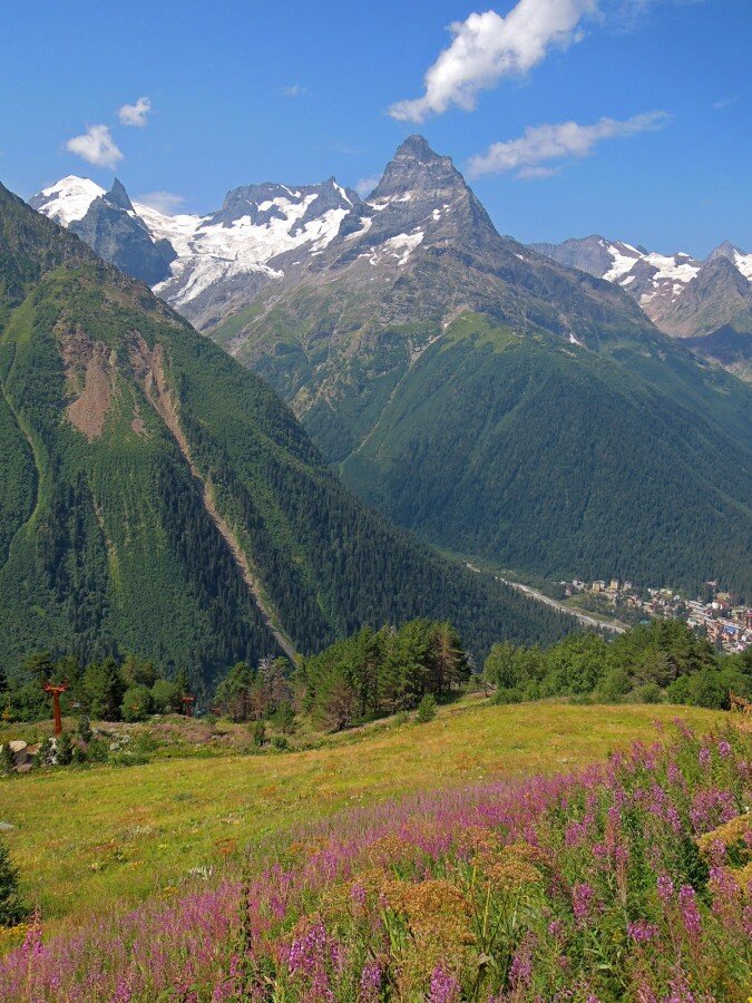 Донбай или домбай фото