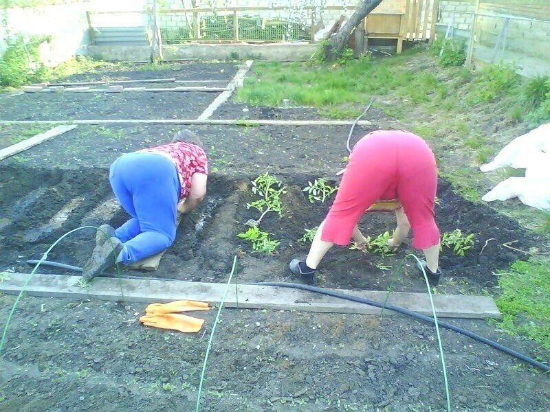 Картинка взята из открытых источников