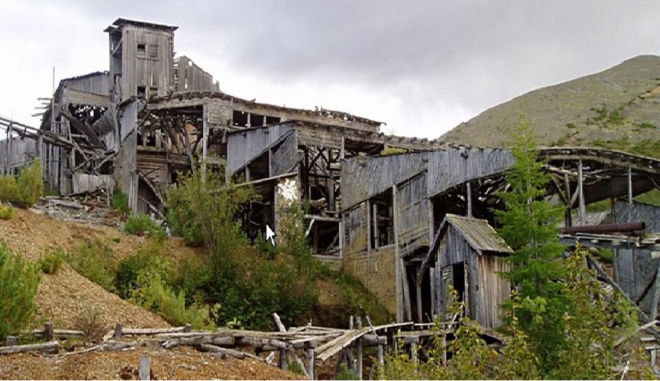 фото из интернета