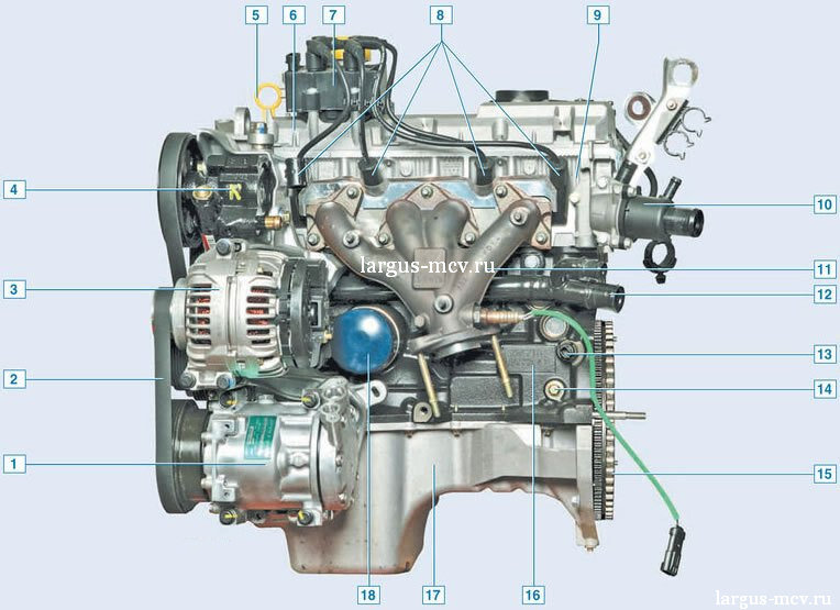 

Двигатель (вид спереди): 1 - компрессор кондиционера; 2 - ремень приводной; 3 - генератор; 4 - насос ГУР; 5 - масляный щуп; 6 - крышка ГБЦ; 7 - катушка зажигания; 8 - наконечники ВВ-проводов; 9 - ГБЦ; 10 - корпус термостата; 11 - выпускной коллектор; 12 - труба водяного насоса; 13 - датчик недостаточного давления масла; 14 - заглушка; 15 - маховик; 16 - блок цилиндров; 17 - поддон картера; 18 - масляный фильтр