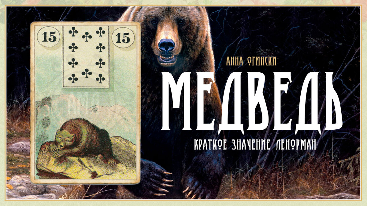 Значение карты Ленорман: Медведь