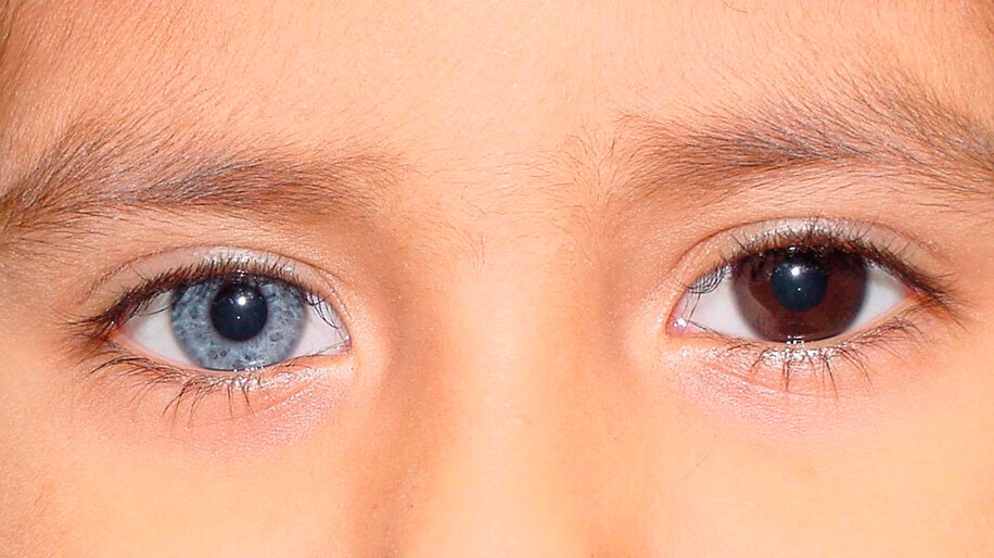 Фото из интернета