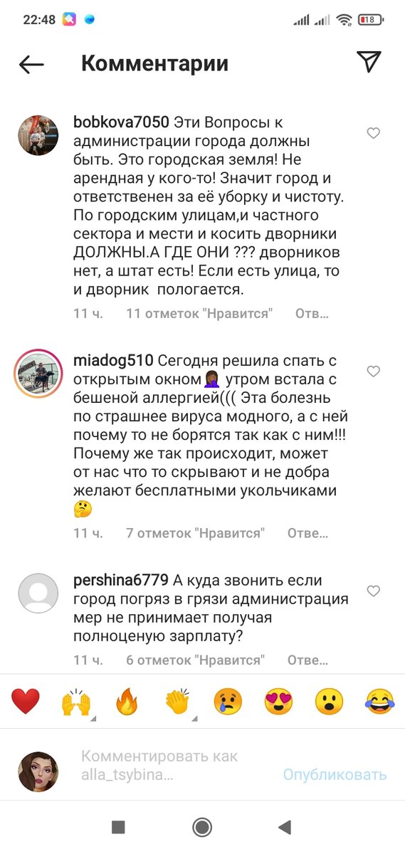 это один скин из многочисленных комментариев