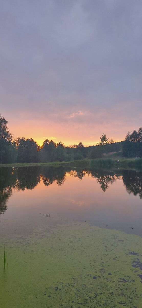 Фото пруда в начале рыбалки.