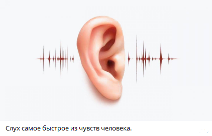 взято из открытых источников