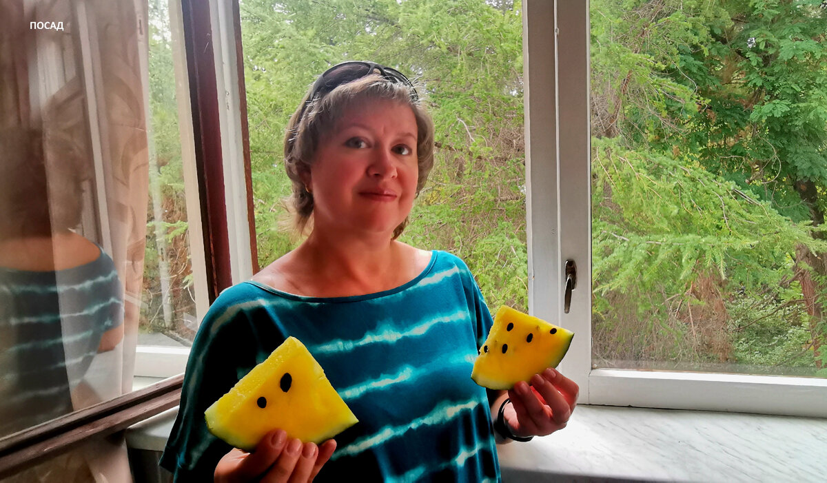 Из этого арбуза я собрала семена в прошлом году.