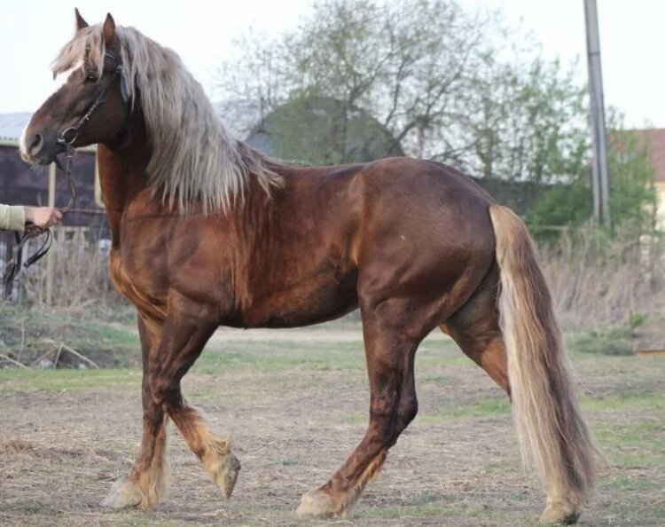 Фотография из Яндекс картинок для оформления статьи