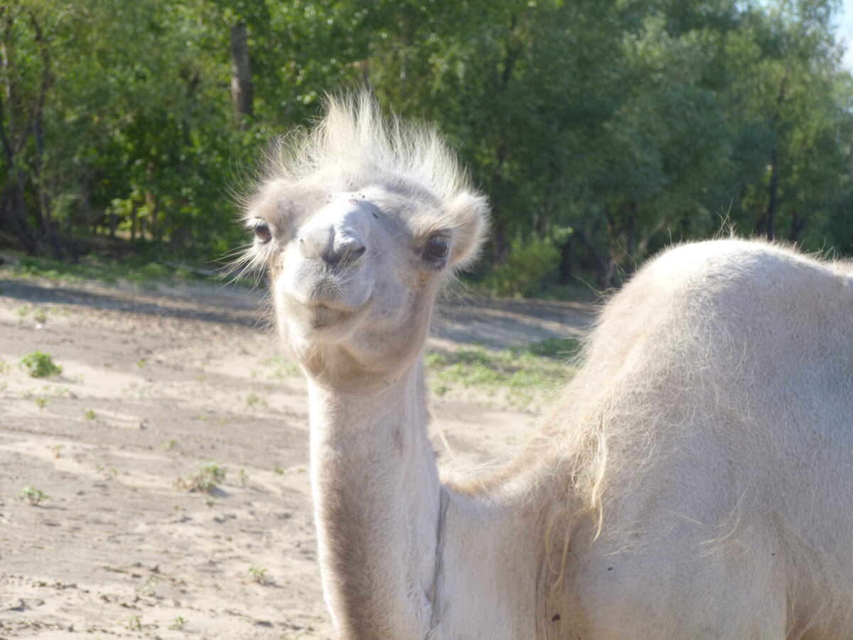 Вы только посмотрите какая прелесть фото авторов