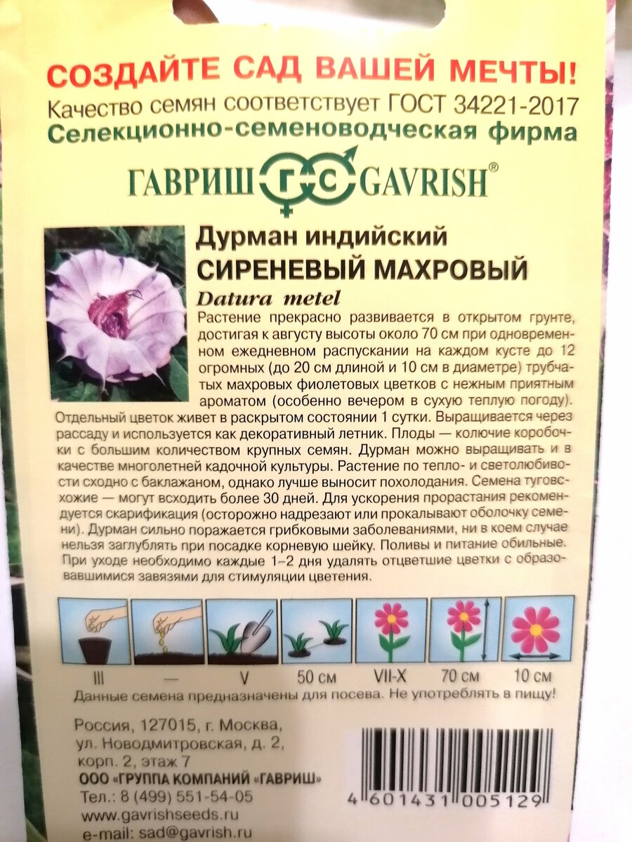 Семена астры на срез Трубадур синяя, 1 г купить в Украине - фото, отзывы, описание ᐉ resses.ru