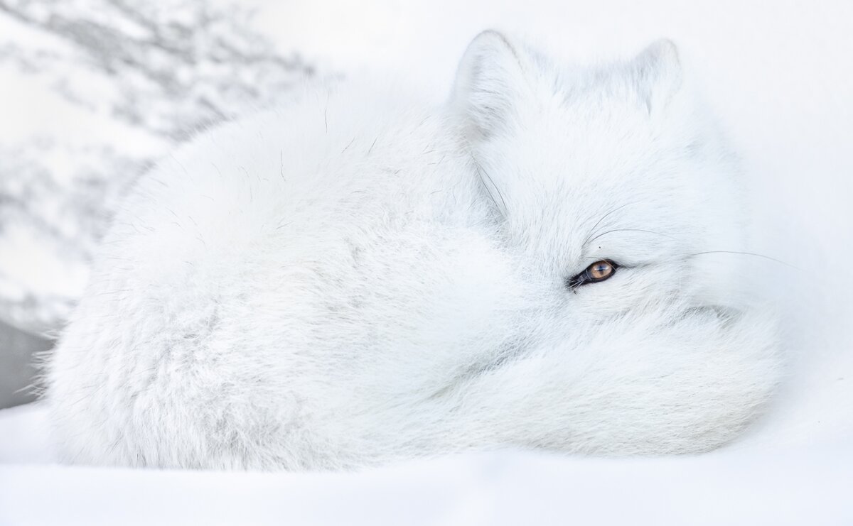 ©Bernt Østhus (Норвегия), Siena International Photo Awards 2021