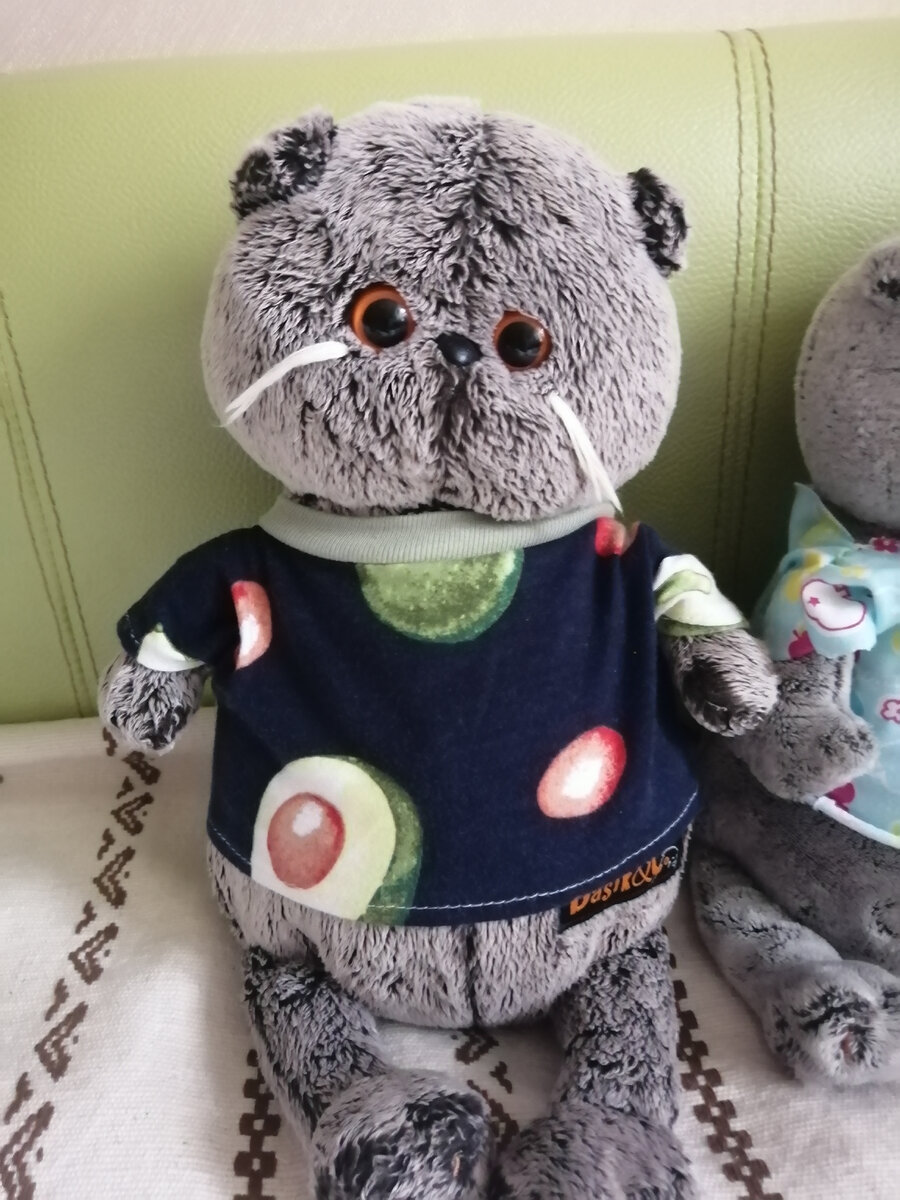 Фото моего оригинального Басика 22 см. 