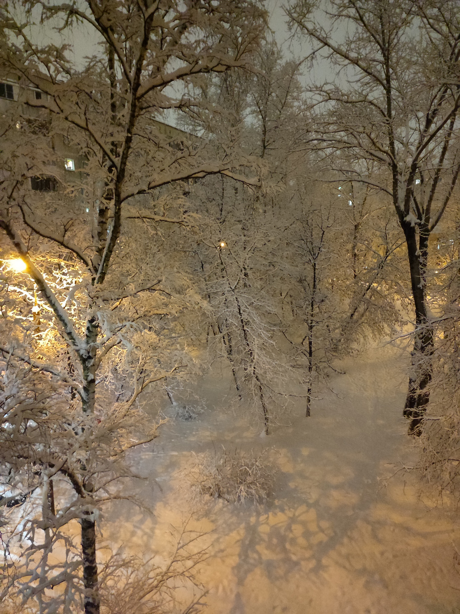 Замысловатое кружево природы.Фото автора.