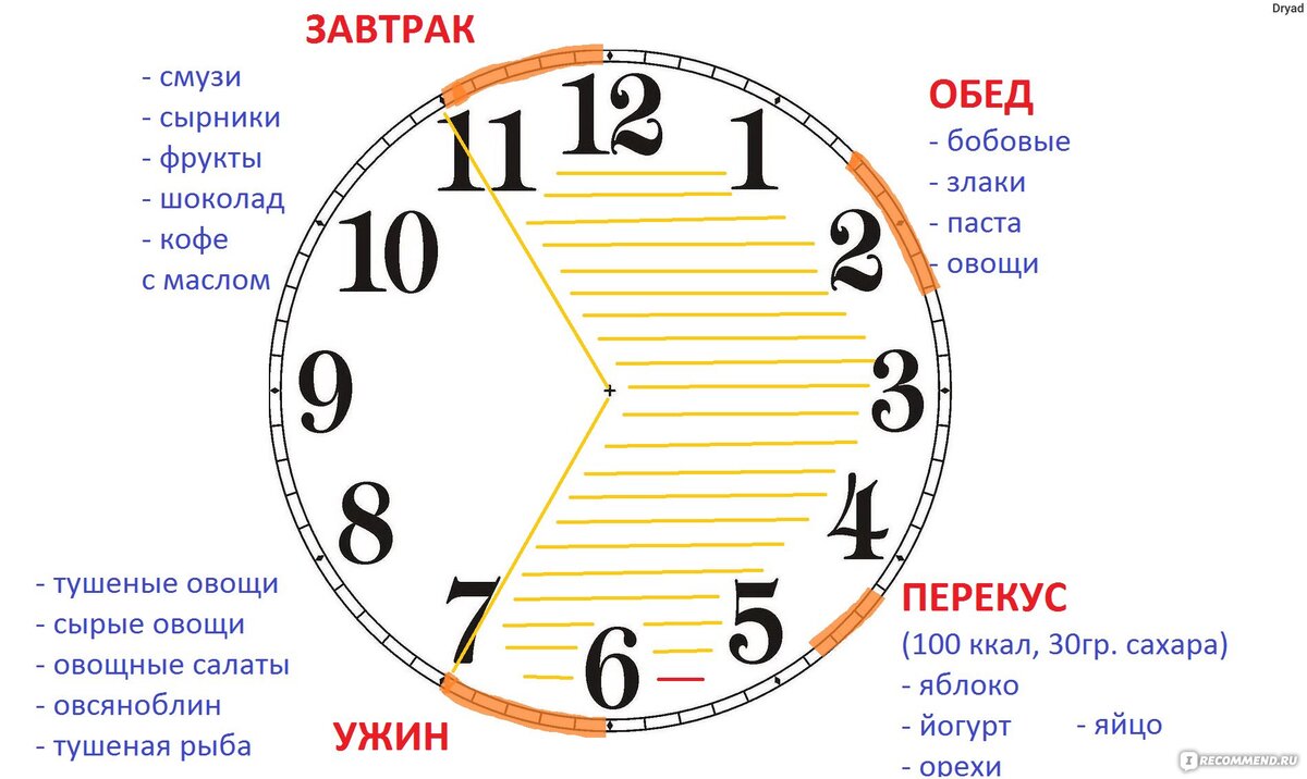 А что так можно было? И почему я об этом не знала раньше? Интервальное  голодание - это легко и ощутимо даже на начальном этапе. | Карта И. по  Питеру | Дзен