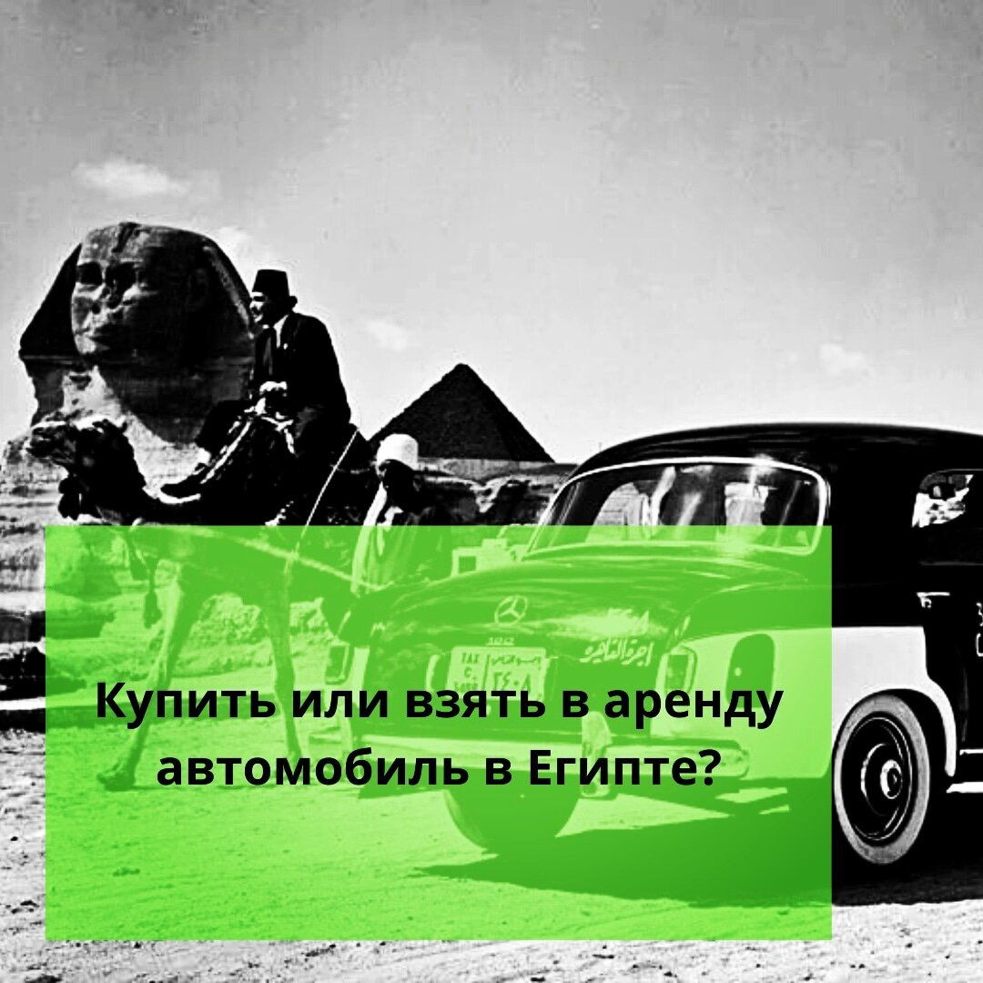 ⚠️Купить или взять в аренду автомобиль в Египте? | Ольга о Египте 🇪🇬 и не  только | Дзен