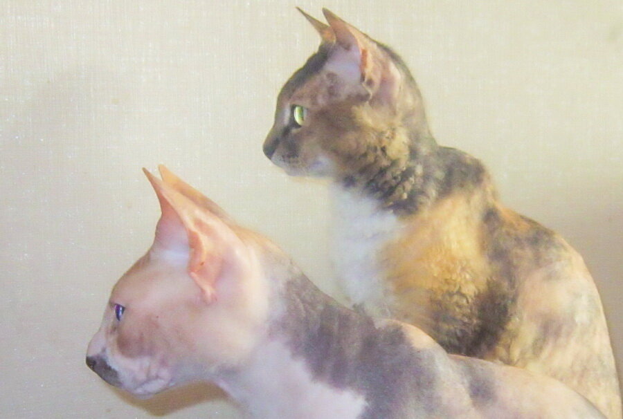 Все фотографии в публикации - авторские