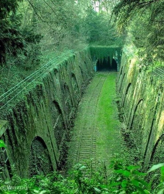 Фото: twitter.com/Urbanexplorerrs/ 