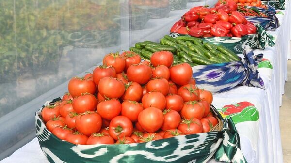   © Пресс-служба президента РТ