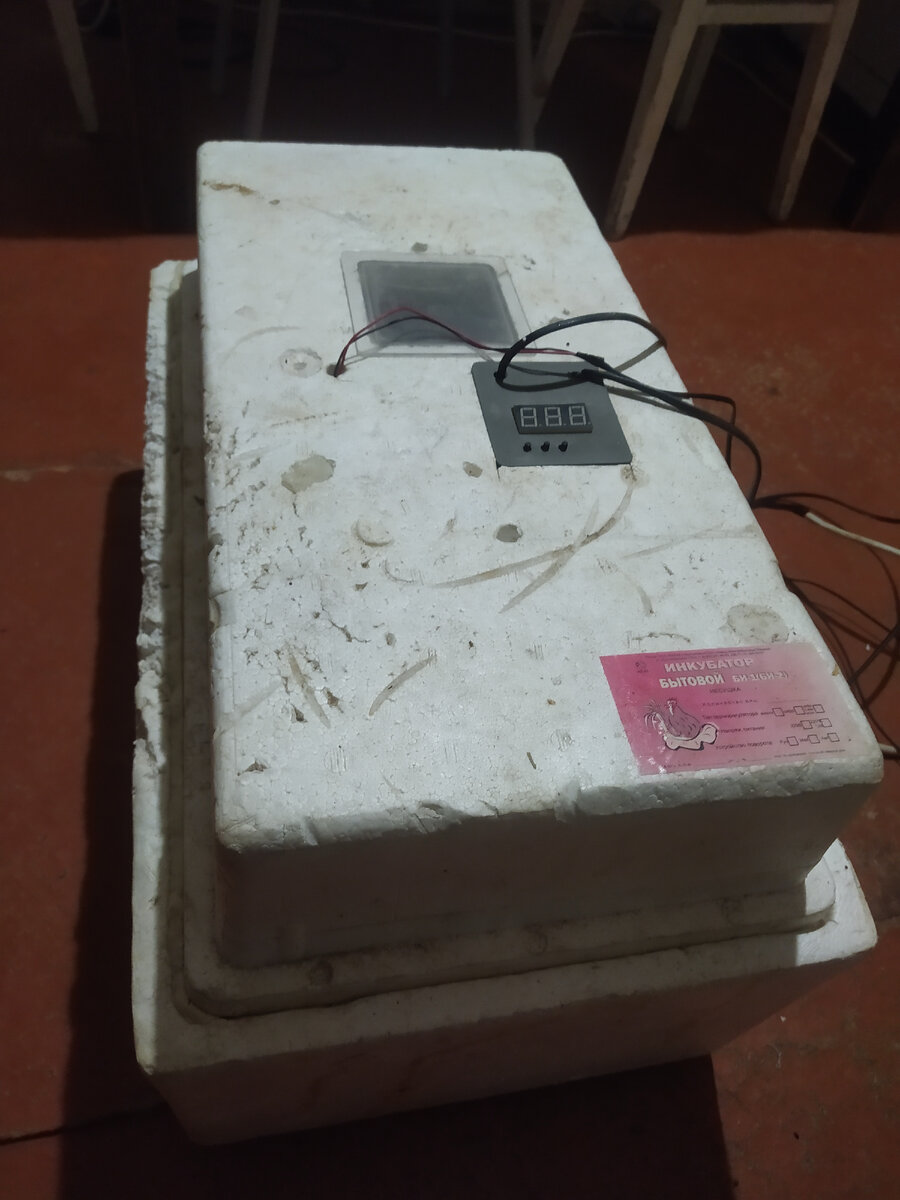 Инкубатор бытовой Несушка