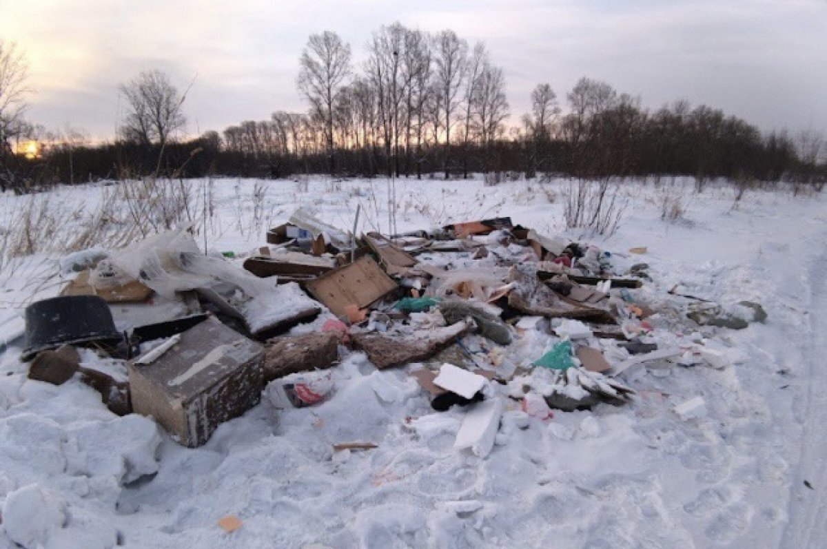    План по ликвидации мусора в городе утвердил мэр Екатеринбурга