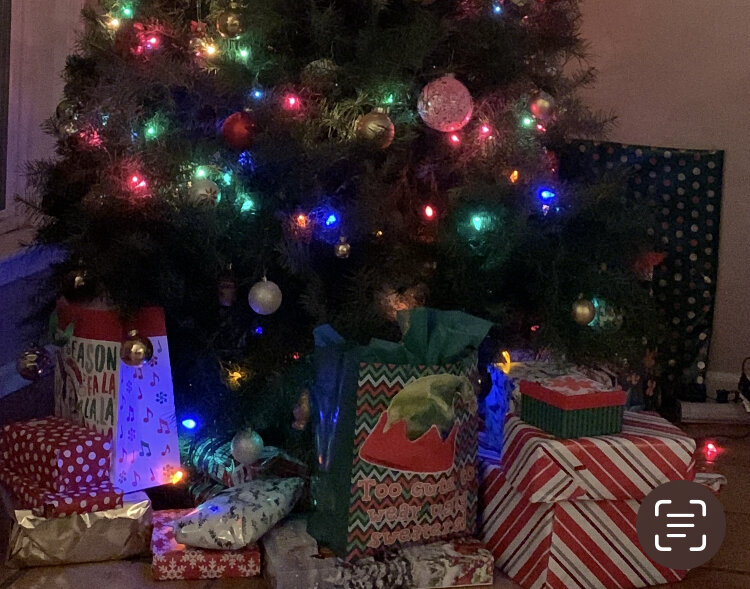 Фото авторское. Тут подарки всем членам семьи, включая кошку и собаку.