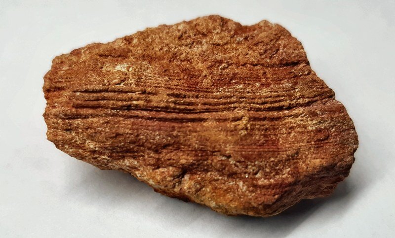 Вот такие куски спрессованого песка, которые по красной окраске можно  принять за кораллы, можно в обилии встретить в отвалах песка