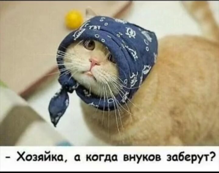 иллюстрация из яндекс картинки.