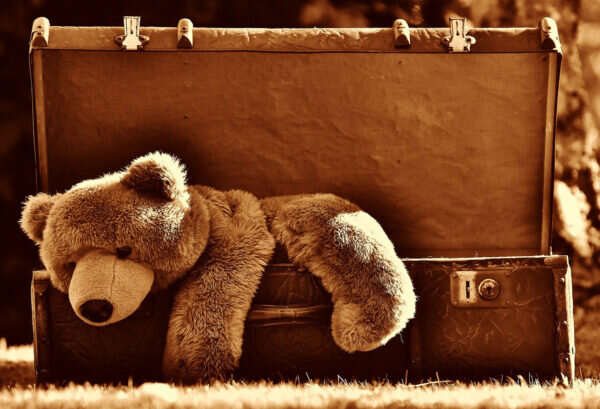    Фото: pixabay.com