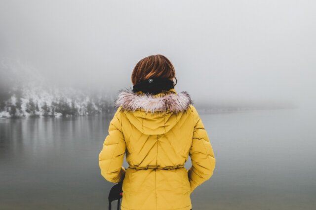    Фото: unsplash.com/ Zan