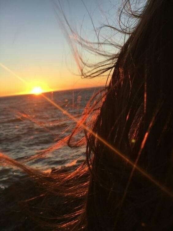 фото с сайта: https://ru.pinterest.com/pin/127015651981390939/