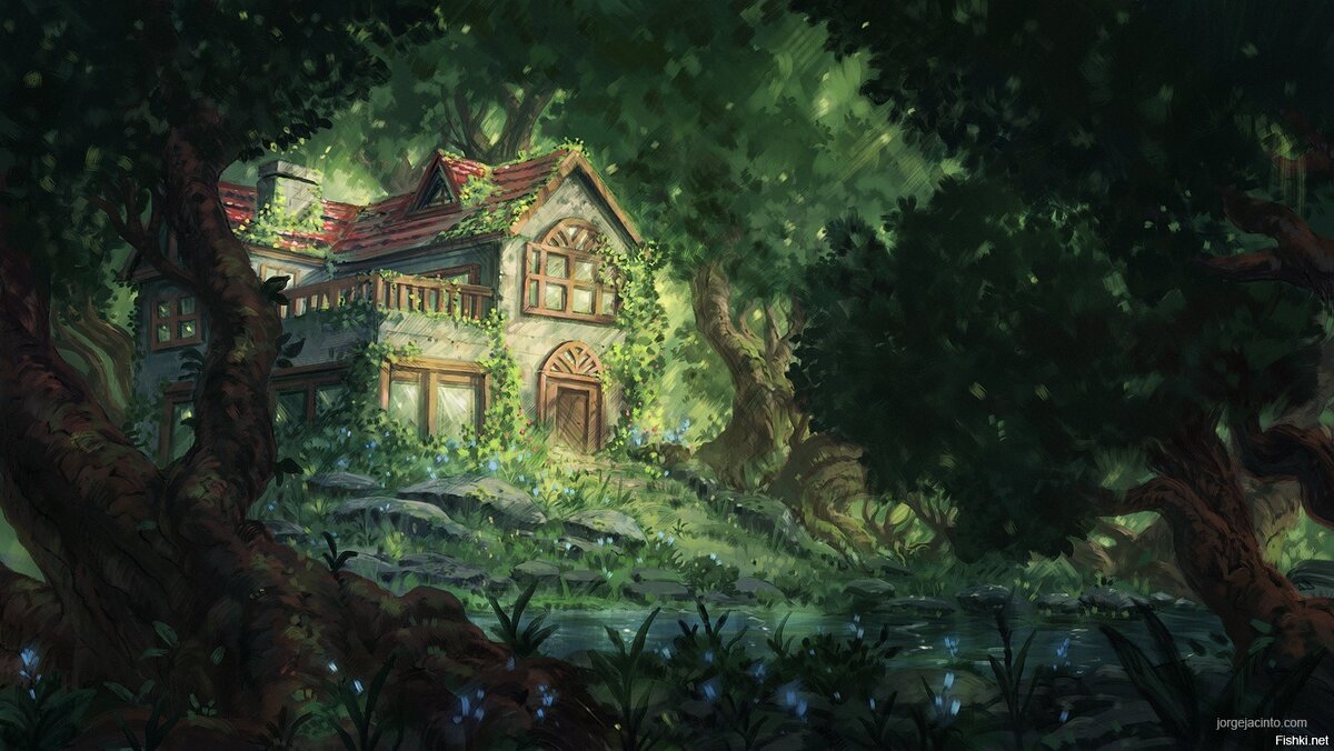 фото из открытых источников