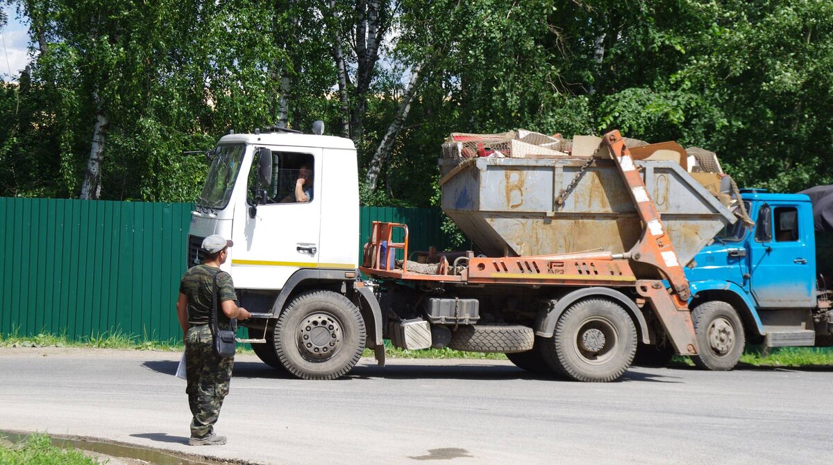 Подмосковные свалки после «Кучино»: паспорта, коровы и ГИБДД | Daily Storm  | Дзен