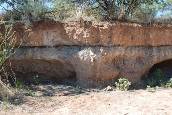Murray Springs Arizona. Мы видим раздел, показывающий границу YDB  (темная линия). Этот материал ниже  темной линии отложился 12 800 лет назад. То, что находится под темной линией, - это магнитные зерна и микросферы, иридий, сажа и фуллерены, которые свидетельствуют о значительном внеземном событии. На этом самом месте были найдены очень ранние коренные американские артефакты культуры Кловис, огневая яма и почти полностью сочлененный скелет взрослого мамонта чуть ниже черной линии. Раскопки Ванса Хейнса-младшего и коллег также показали сотни гигантских следов на песке, заполненном осадками черного мата. Эти следы и мамонтовый скелет, по-видимому, были сохранены быстрым захоронением после события YDB (1). Мамонты и технология охотники  Кловис исчезли одновременно. 