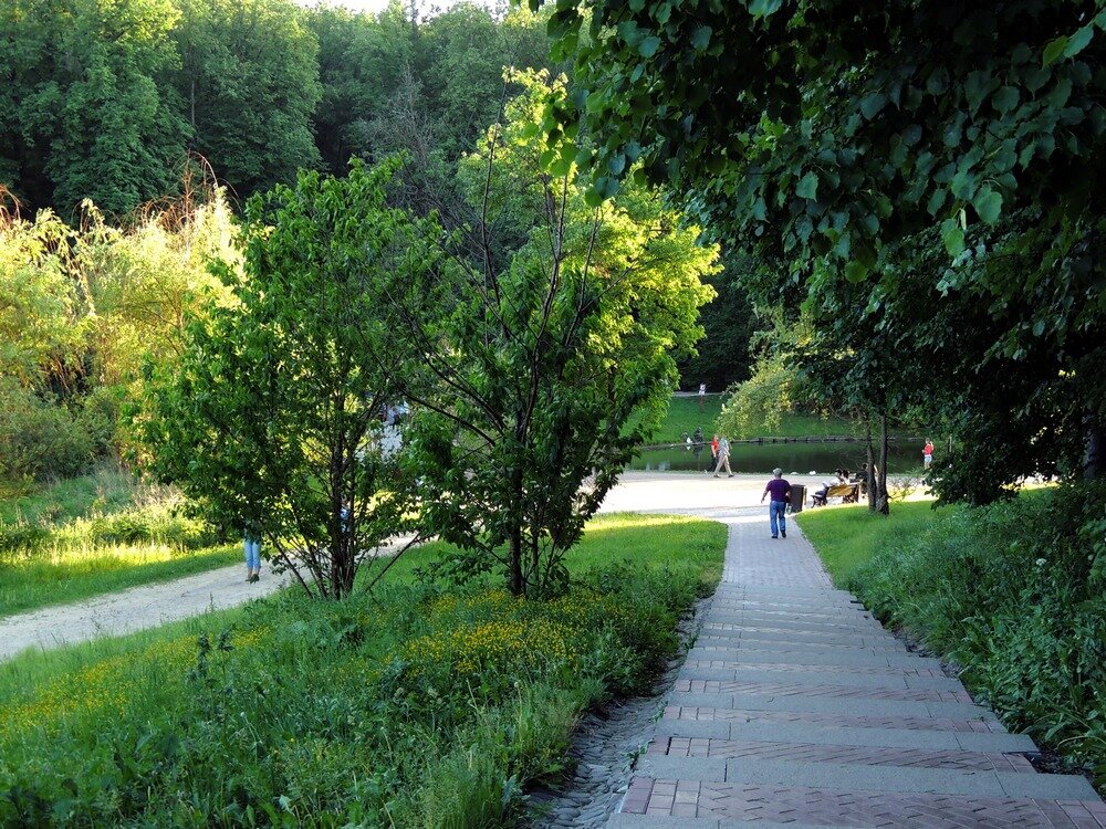 Бирюлево восточное дендропарк. Амфитеатр в бирюлевском дендропарке. Дендропарк в бирюлево. Дендра парк в бирюлево. Сайт дендропарка бирюлево.