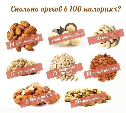 Грецкий орех — польза и вред для организма, лечебные свойства - Телеканал Доктор