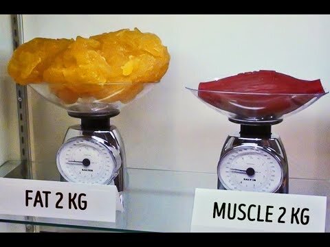 2 кг жира и 2 кг мышц