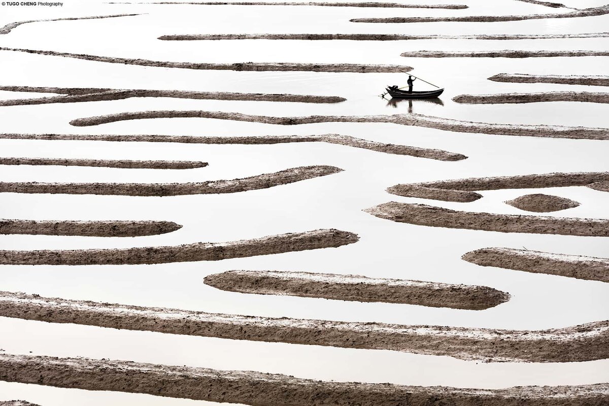 Бамбуковые миры: красота китайской аквакультуры - в картинках 📷-5. 64. 