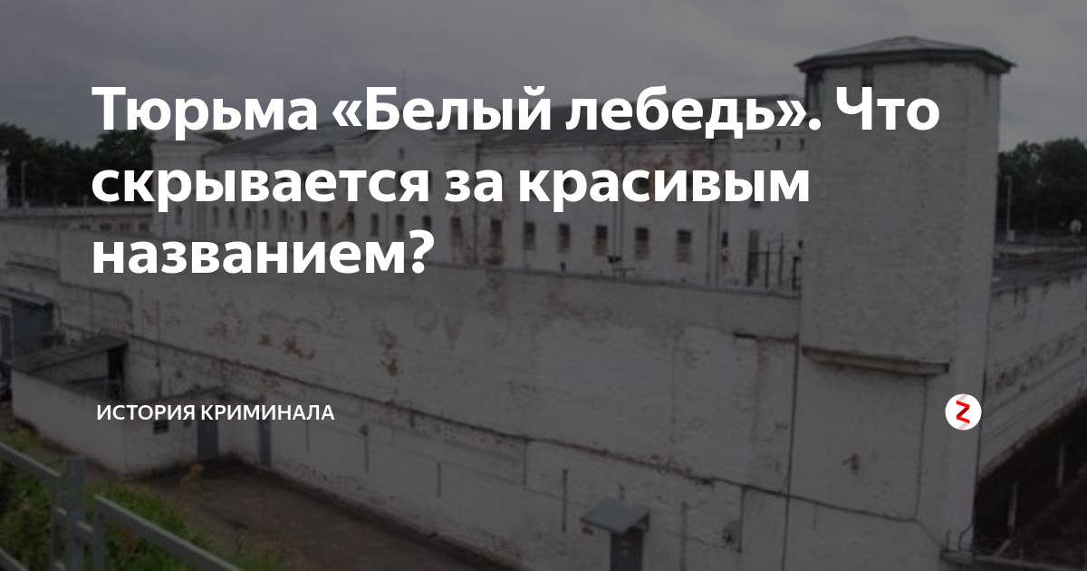 Тюрьма «Белый лебедь». Что скрывается за красивым названием? | История ...