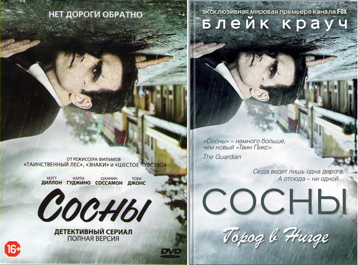 "Сосны", 2015 - 2016 гг.
