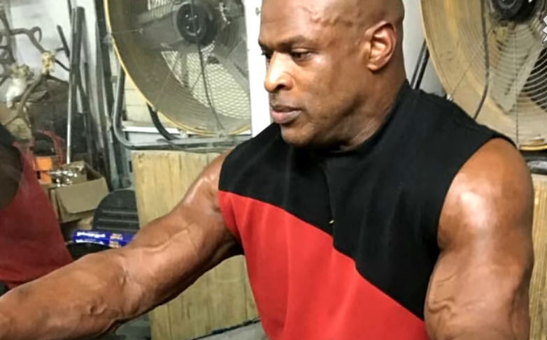 Спортсмены после завершения карьеры