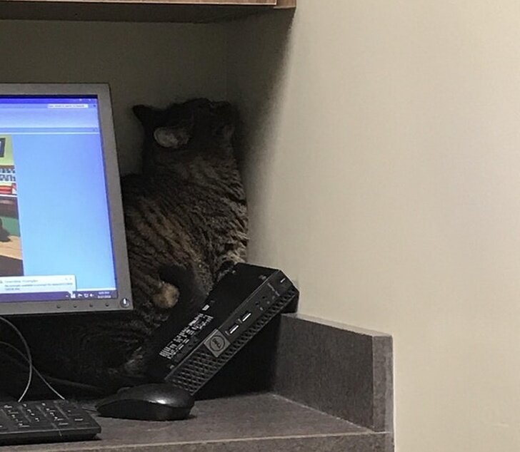 фото: reddit.com