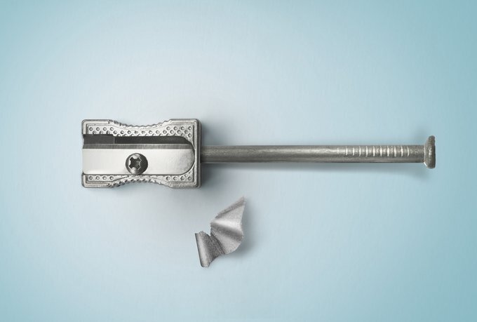 фото: Shutterstock/Fotodom.ru