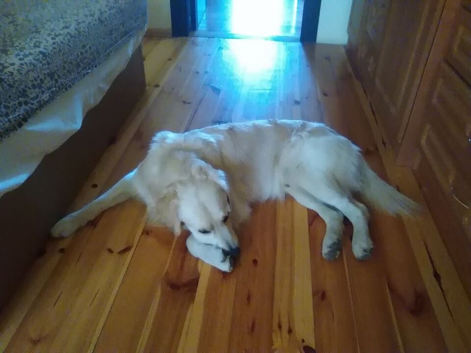 Фото из личного архива