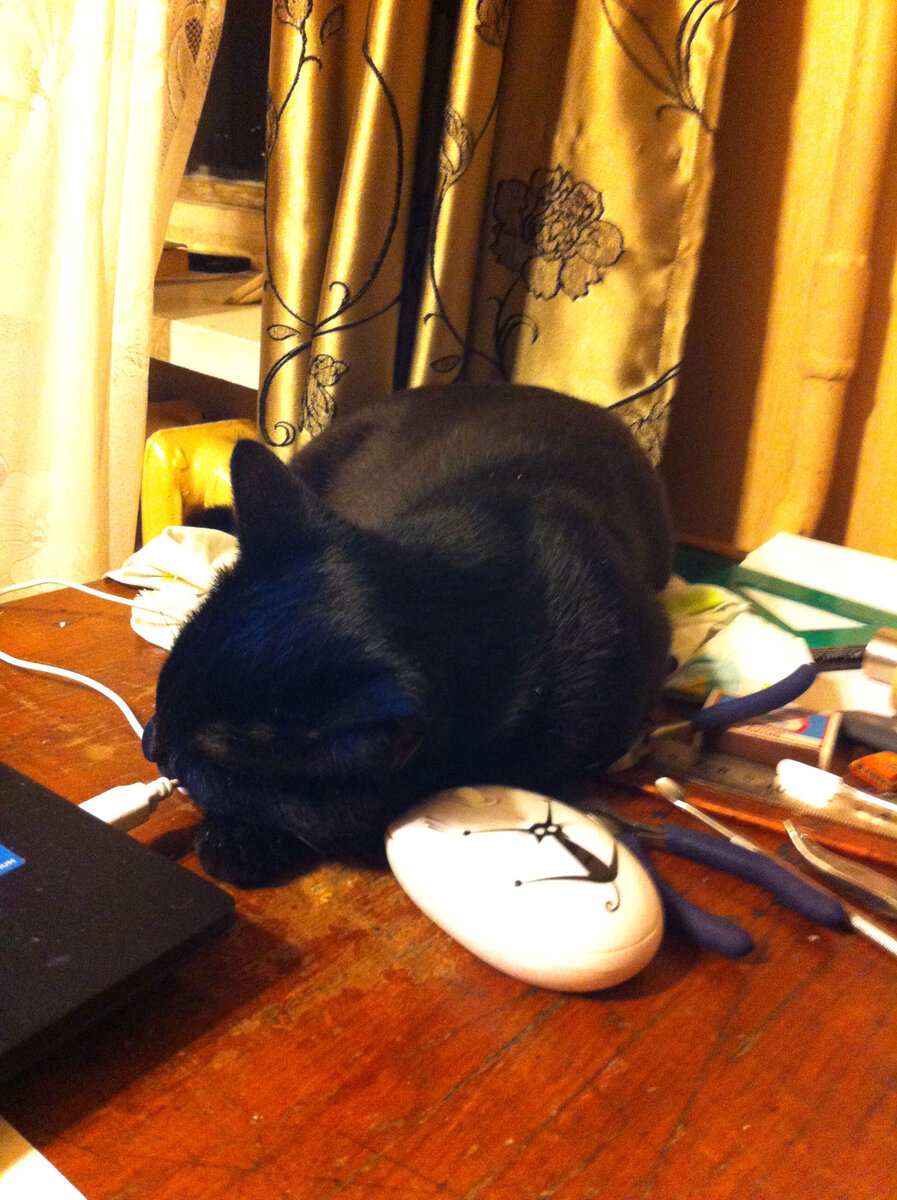 Ой да забей!