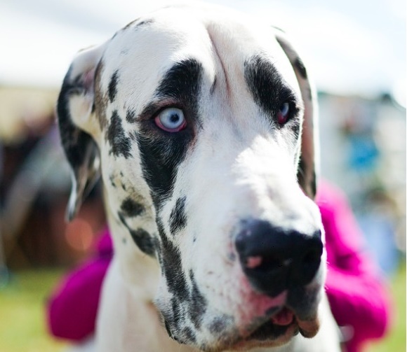 Подписывайтесь на канал, ставьте лайки. Так Вы поможете развитию канала. Спасибо