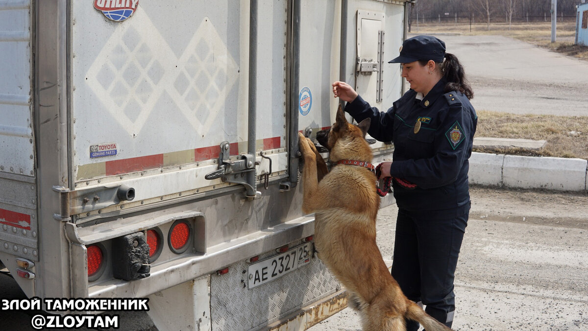 Таможня и пограничники