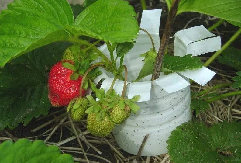 Источник фото: https://i.pinimg.com/originals/4b/74/30/4b74302136a7fe5b2a84d0450ab72bd0.jpg