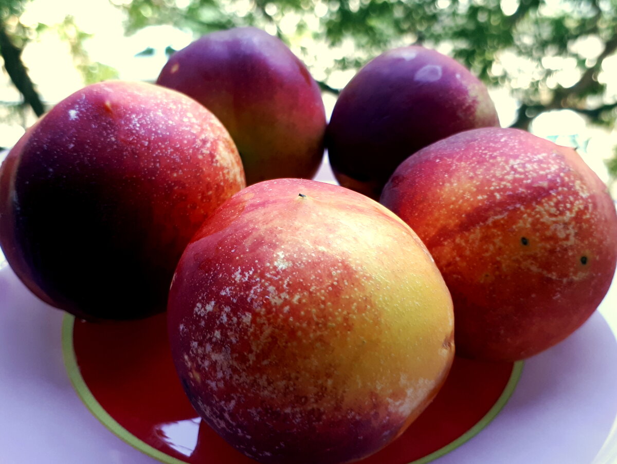 фрукты - польза для печени