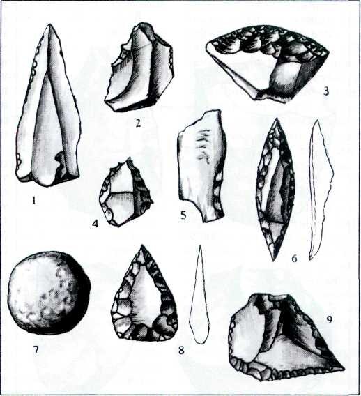 Орудия среднего палеолита: 1, 6, 8, 9 — острия; 2 — резец; 3 — скребок; 4 — проколка; 5 — костяное орудие для обработки камня; 7 — метательный камень.