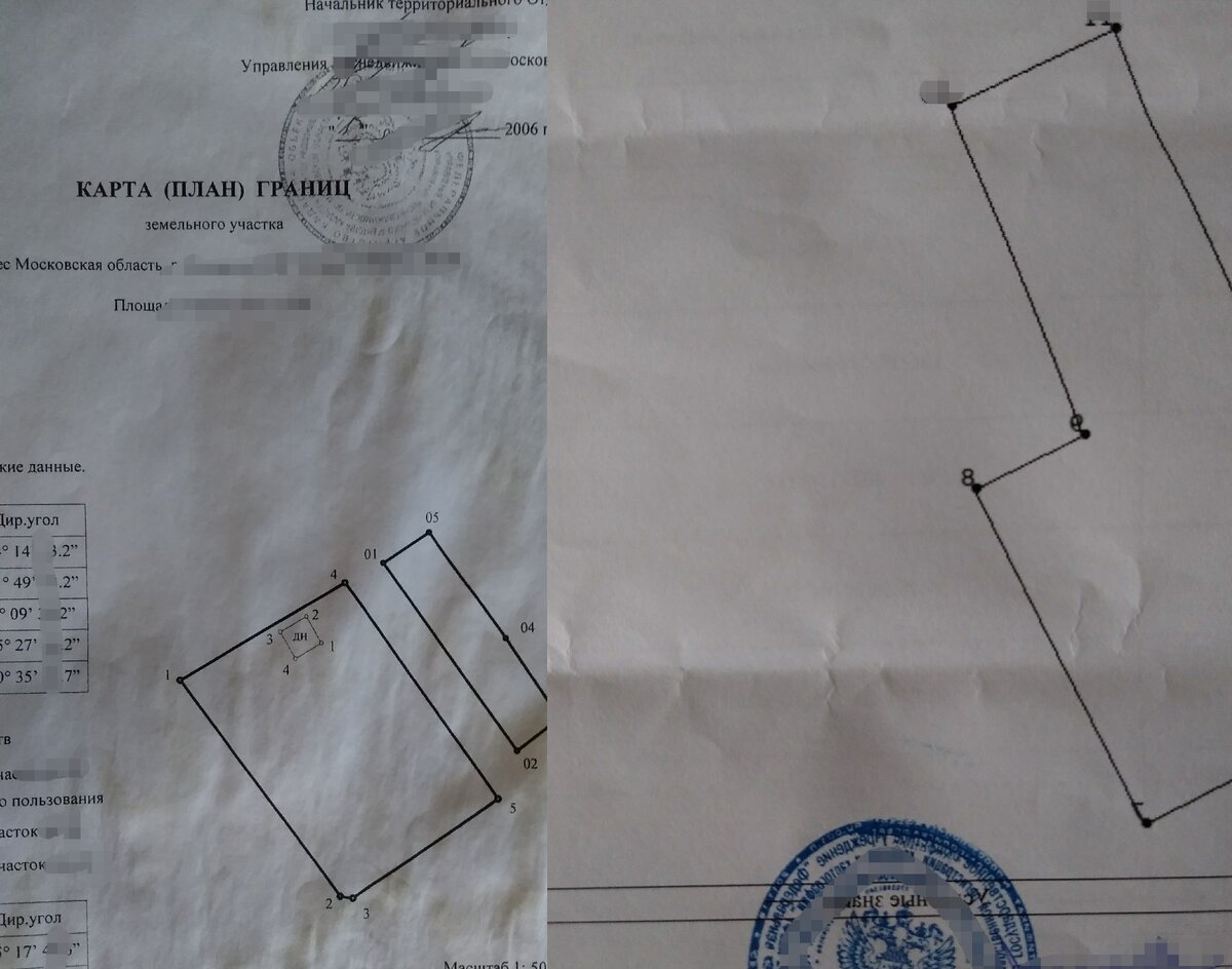 Слева соседкин участок. Между частями участка проходит дорога, Справа - наш участок.