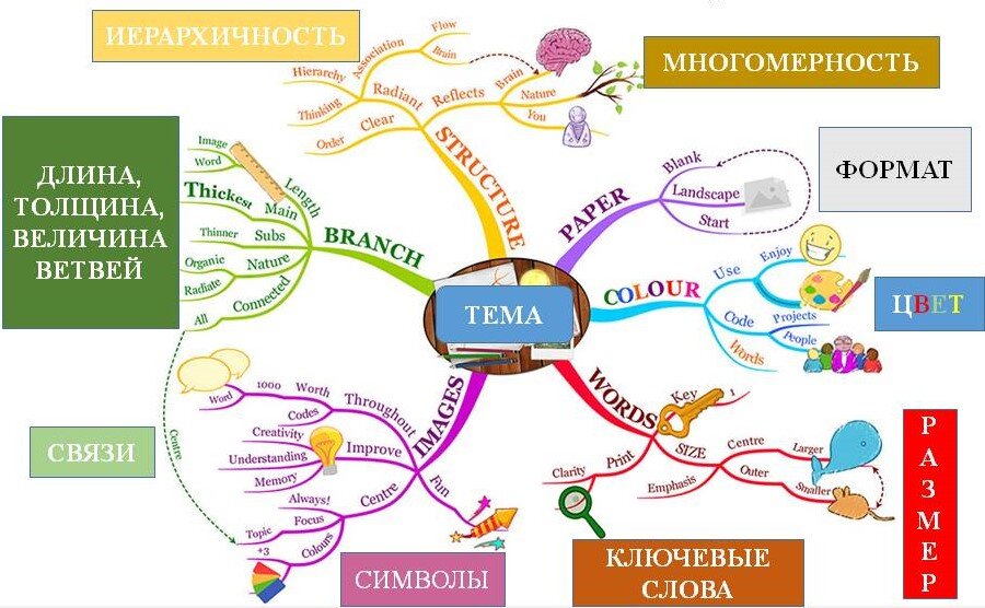 Интеллект карта примеры по математике